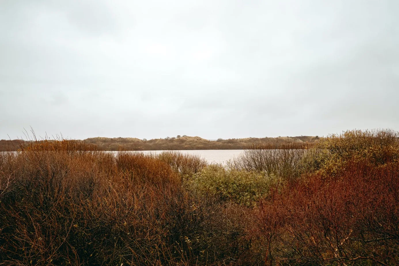 Hammersee auf Juist zwischen Wald und Dünen