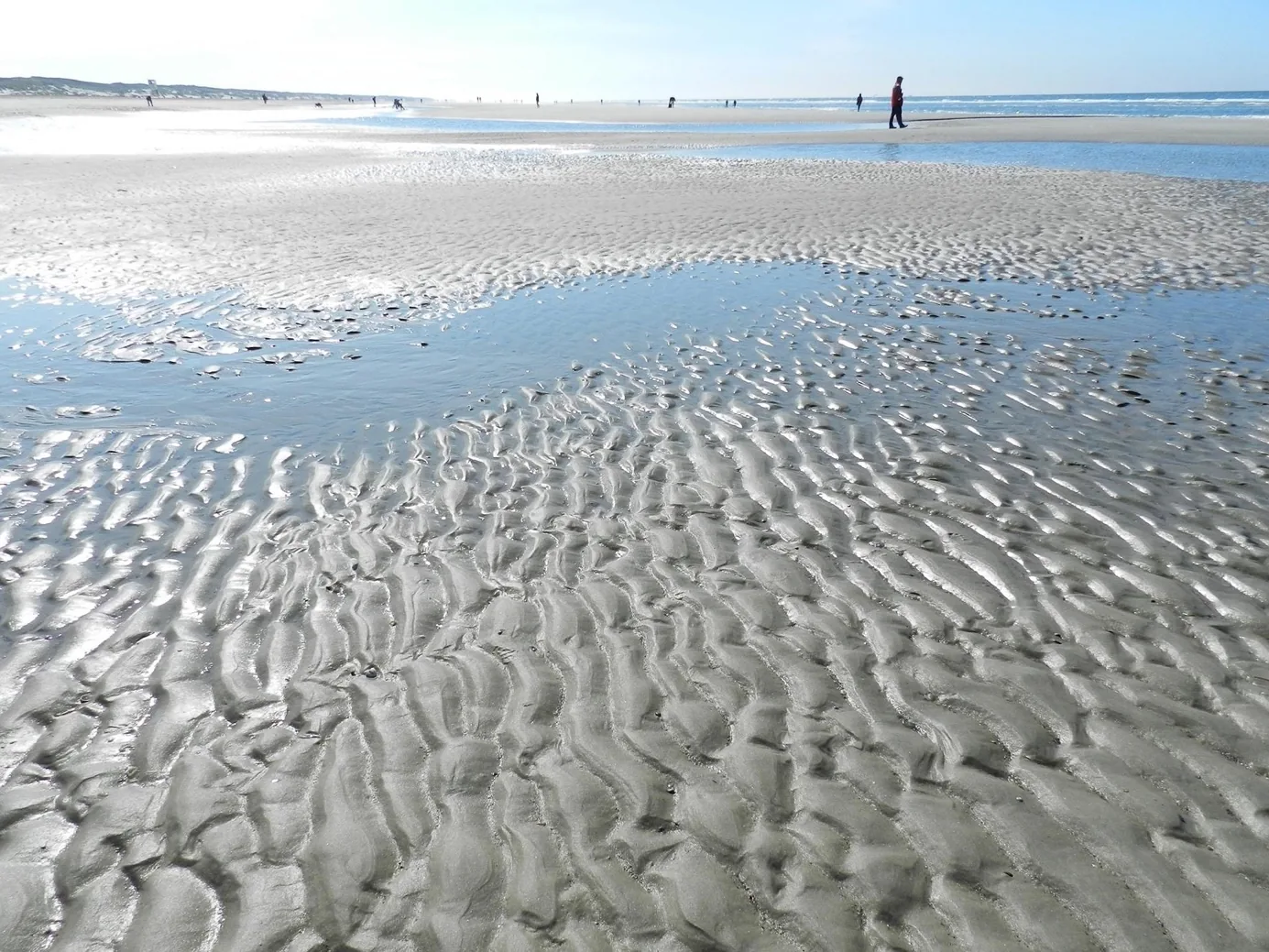 Wattwanderung im Wattenmeer bei Juist